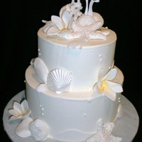 Seashells And Plumeria 