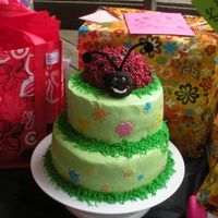 Ladybug Birthday Cake I made this for my granddaughter's 1st Birthday party. This was my first time using fondant or making a tiered cake. It is WASC cake w...