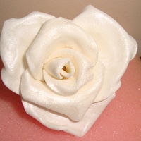 Heart Rose I had a rose sitting on an egg carton on my table and it fell off the side. I almost cried looking at the pieces on the floor, until I...