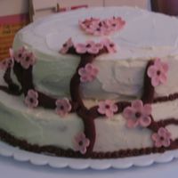 Picture_004.jpg My first time with IMBC. I wasn't sure if I had done it right because it had the consistency of mayo. But it tasted wonderful!! and it...