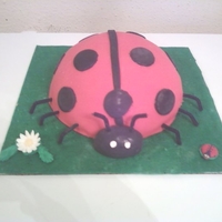 2 Of 2 Kambria's Ladybug 1St Birthday Cake 