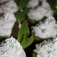 Mint Julep Cupcakes Cupcakes made for a Derby party! Made with the flavors of the Mint Julep drink served at the Derby! Mint and Bourbon!! Rich's On Top...