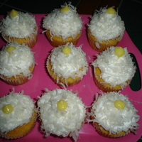 Mt Southington Cupcakes This cupcake is dedicated to MT Southington skii resort in CT. It is a coconut flavored cupcake with white chocolate buttercream topped...