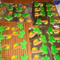 Gabriel's Cookies Seperate cutters (pineapple & palm tree) fused together and decorated with royal icing. These were made for my son's class