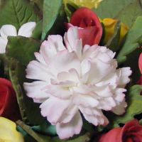 Carnations These things gave my heck..... but I am satisfied with the outcome since i didnt use a carnation cutter i used a garret frill cutter and...