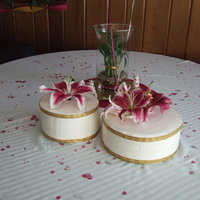 My Son And Daughters Cake Very simple cake that is what the bride wanted. Whpped cream frosting with an organic cake. Gold ribbon and Star Gazer Lilies for decor.