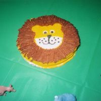 Lion Cake This cake was for my sons 1st Birthday. It was a mini cake for only him to eat.