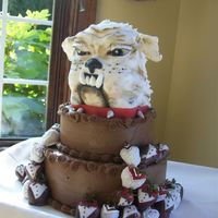 University Of Georgia Bulldog Cake Chocolate with Chocolate butter cream with fondant accent head