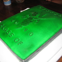 Mike's Graduation Cake 