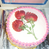 Grandmas Birthday Cake I made this cake for my grandmothers birthday. I wasnt too happy with the color combinations but those were the colors of her butterfly...