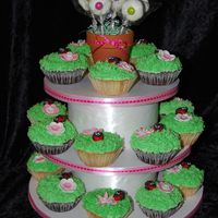 Lady Bug Cupcakes The lady bugs and flowers are fondant. The flowers in the pot are cake pops!