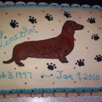 Dachshund Memorial Cake Memorial cake for my Dachshund, Mr. Lincoln, who would have been 13 years oldthis event turned into fund raiser for shelter animals