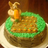 Mmm Carrotts! carrot cake,cream cheese icing and fondant decorations!
