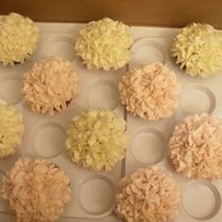 Wedding Shower Cupcakes Cupcakes for a wedding shower. Pink, white, and black color scheme. White choc raspberry, choc- cherry, and key lime flavors.