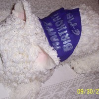 Birthday Cake For Grandma I surprised my grandma with this cake...looks just like her dog!