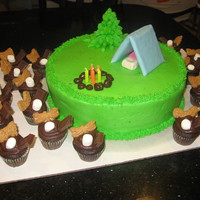 5Th Birthday Camping Cake With Smores Cupcakes Camping cake for my daughter's 5th birthday. Totally copied ideas from here, thanks everyone!Used bug shaped graham crackers for the...
