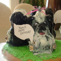 Ajs Doggies AJS BIRTHDAY