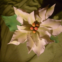 White Pointsetta White Pointsetta, gum paste