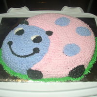 Ladybug Cake Made this cake for my grand-daughters 7th birthday. All BC, pink and purple stars with a little grass for the border. This is Wiltons cake...