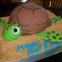 Sea Turtle 11 X 15 iced in butter cream and covered with crushed graham crackers for sand. Turtle shell is made from 8 inch round with a ball pan cake...