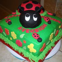 Ladybug Cake White cake with fresh strawberry filling and BC icing. Big ladybug and head made from yellow cake with mini sports ball pan and covered in...