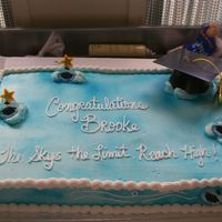 Flyin High This full sheet cake was decorated with buttercream frosting. Air brushed with blue for a sky effect. Cloud puffs made with buttercream....