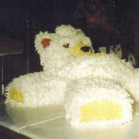 Jeannes Polar Bear jeannes polar bear