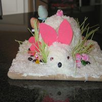 My Sisters First Easter Bunny Cake 