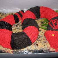 Arizona Diamondback Snake Two brownie cakes