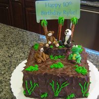 124412907939158.jpg Quick cake for girls 10th birthday