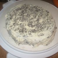 Dad's Birthday Cake The cake was for my dad's birthday. I auctually just finished it today!