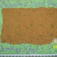 Sweet Pea Baby Shower Cake 