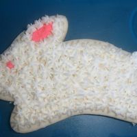 Bunny_Cookie.jpg 