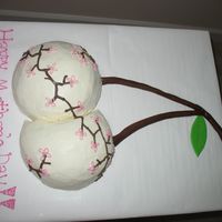 Cherries This is cherry chocolate cake (my mom's favorite) so I stuck with the cherry theme and put some cherry blossoms on it.