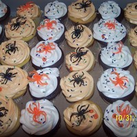 Halloween Cupcakes Easy cupcakes...vanilla cupcakes with orange buttercream frosting and chocolate cupcakes with cream cheese frosting.