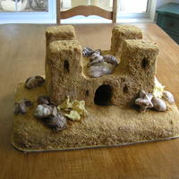 Sand Castle Cake My first sand castle attempt. Not exactly the look I was going for, but .... maybe next time. The shells were made in candy molds and the...