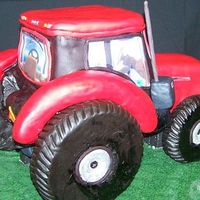 Case Ih Backside The wheels and fenders are rice krispie treats.