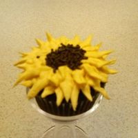 Kansas Sunflower Cupcake This is one of my favorites because I grew up in KS and I love the sunflower.