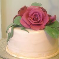 Rose Cake Was bored so decided to make a cake for practice. The fondant covering is not the greatest. was my second try on making the roses. I wasn&#...
