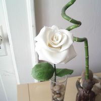 White Rose My first attempt on making a realistic looking rose.