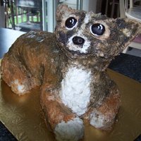 Gizmo A cake made to look like a girls dog.