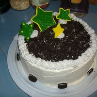 Ice Cream Graduation Cake Cookies n Cream Ice Cream layer between 2 chocolate cake layers, and crushed cookies mixed with choc. buttercream between.Frosted with whip...