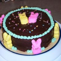 Easter Bunny Cake I love love love PEEPS. This was a fun way I experimented with them for my contribution of dessert at Easter dinner. The kids went wild for...