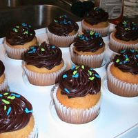 Dolphin Cupcakes This is for my husband's last day. It's yellow cake with chocolate cream cheese icing and dolphin sprinkles on top. I used an...