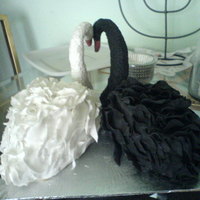 Pair Of Swans These cakes were from a book and they were the first ones,then I decided to make them larger for the Prince and princess ones I did for a...
