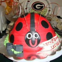 Lady Bug Cake ! marble cake with fanilla cake and fondant accents .