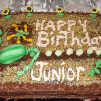 Garden Cake This is a homemade German choc garden cake with watermelon, summer squash, lettuce & pumpkin patch, cauliflower & sunflowers. I...
