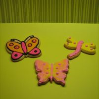 Butterflies And Dragonflies NFCS with royal icing.