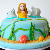 Swimming With Dolphins 