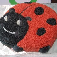 Lady Bug Cake This is the practice run at a cake for my nieces first birthday.